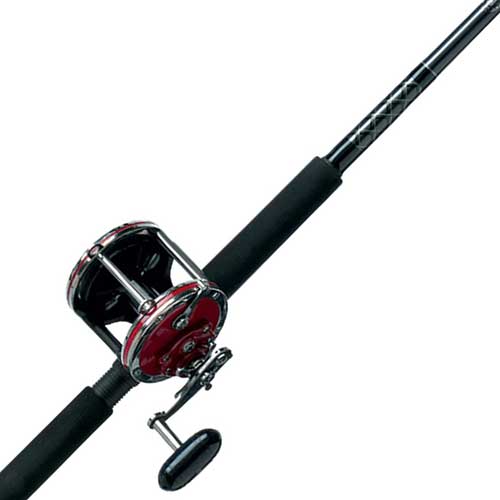 Penn Senator Rod and Reel Combo