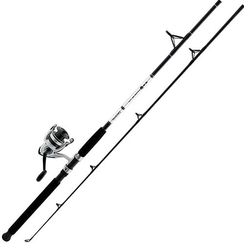 Daiwa D-Wave Surf Fishing Rod and Reel Combo