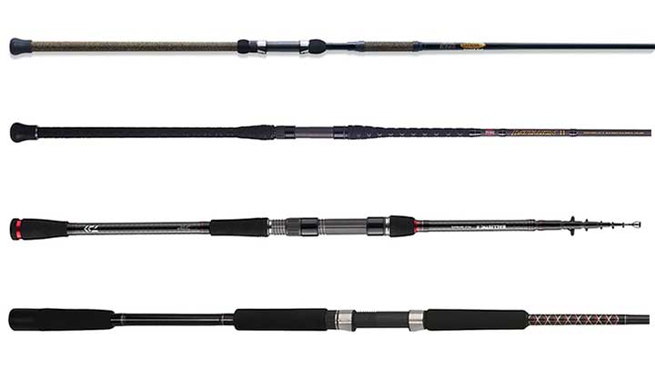 best surf fishing rods