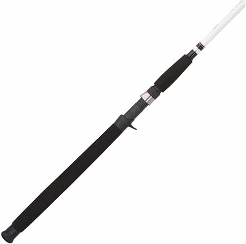 Berkley Saltwater Spinning Rod