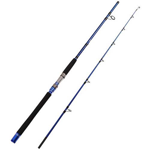 30 Best Saltwater Fishing Rods in 2021 | Spinning and Trolling