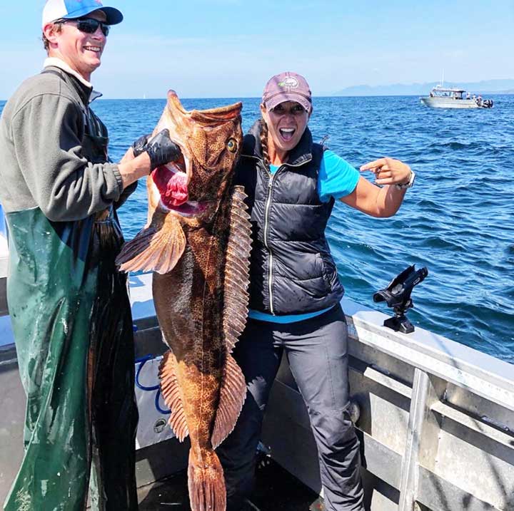 lingcod caught on fishing charter in alaska