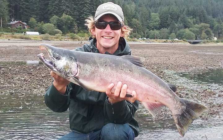 male silver salmon or coho salmon
