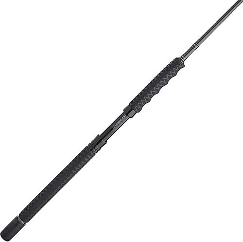 Penn Carnage III Saltwater Spinning Rod