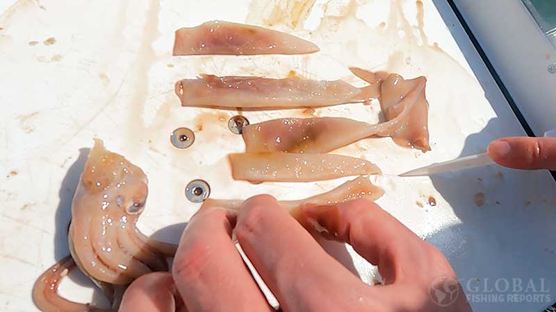 captain cody cutting squid into strips for bait