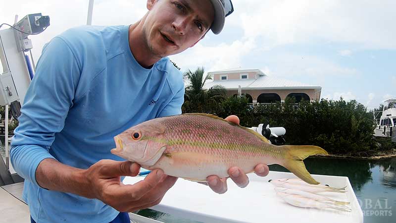 captain cody holding a yellowtail snapper