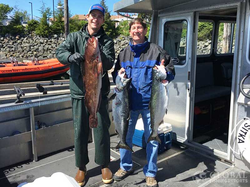 keeper size lingcod caught