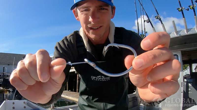 large circle hook for lingcod fishing