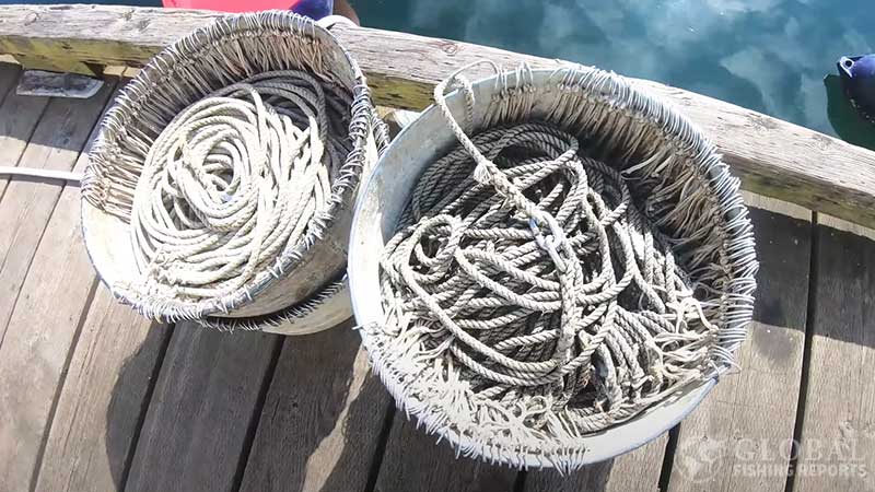 long line set of hooks in a tub for black cod commercial fishing