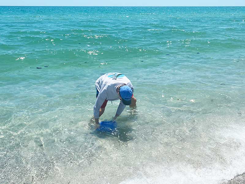 Scooping in deep water with a bucket to find shark teeth