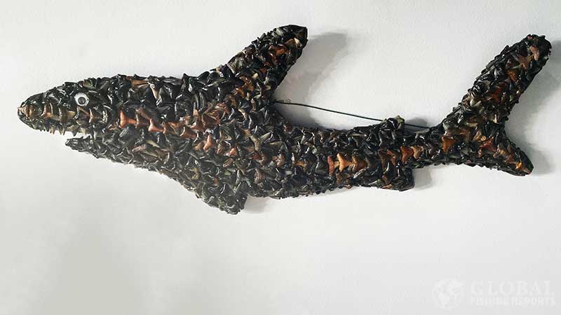 Shark teeth art made with shark teeth