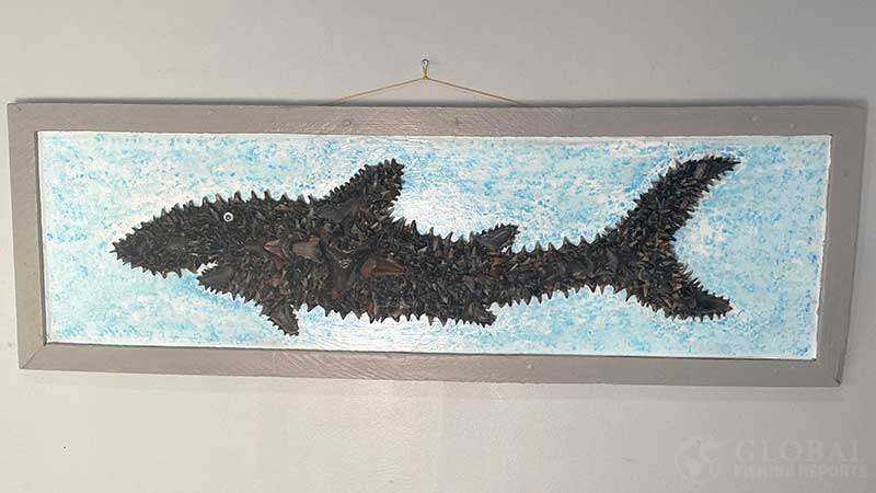 Shark teeth artwork