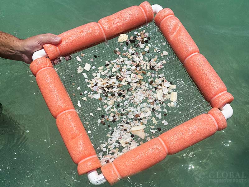 Shark tooth floating sand sifter to look for shark teeth